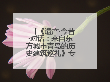《遗产·今昔·对话：来自东方城市青岛的历史建筑巡礼》专题展在德开幕