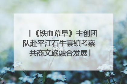 《铁血幕阜》主创团队赴平江石牛寨镇考察 共商文旅融合发展