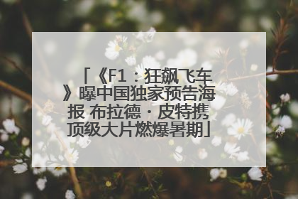 《F1：狂飙飞车》曝中国独家预告海报 布拉德・皮特携顶级大片燃爆暑期