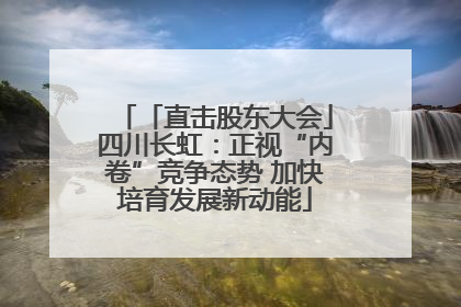 「直击股东大会」四川长虹：正视“内卷”竞争态势 加快培育发展新动能