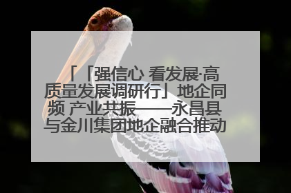 「强信心 看发展·高质量发展调研行」地企同频 产业共振——永昌县与金川集团地企融合推动重大项目建设