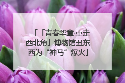 「青春华章·重走西北角」博物馆丑东西为“神马”爆火