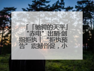 「驰骋的天平」“赤电”出鞘·剑指拒执︱“拒执预告”震撼督促，小心“执行”变“执刑”