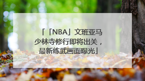 「NBA」文班亚马少林寺修行即将出关，最新练武画面曝光