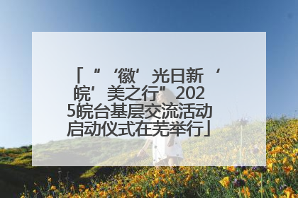 “‘徽’光日新‘皖’美之行”2025皖台基层交流活动启动仪式在芜举行