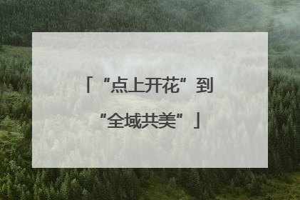 “点上开花”到“全域共美”