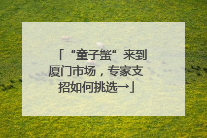 “童子蟹”来到厦门市场，专家支招如何挑选→