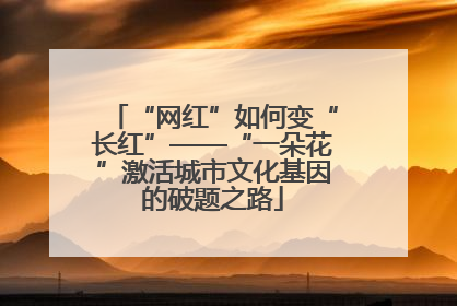 “网红”如何变“长红”——“一朵花”激活城市文化基因的破题之路