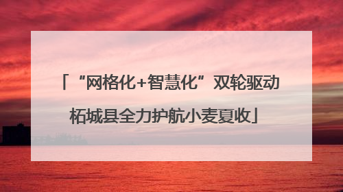“网格化+智慧化”双轮驱动 柘城县全力护航小麦夏收