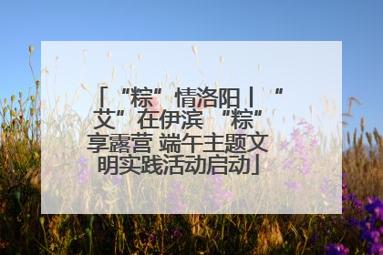 “粽”情洛阳丨“艾”在伊滨 “粽”享露营 端午主题文明实践活动启动
