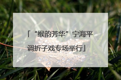 “缑韵芳华”宁海平调折子戏专场举行