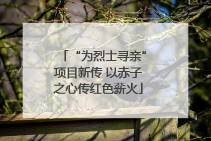 “为烈士寻亲”项目新传 以赤子之心传红色薪火