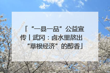 “一县一品”公益宣传丨武冈：卤水里熬出“草根经济”的醇香