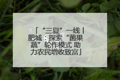 “三夏”一线丨肥城：探索“菌果蔬”轮作模式 助力农民增收致富
