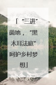 “三进”菌地，“黑木耳法庭”呵护乡村梦想