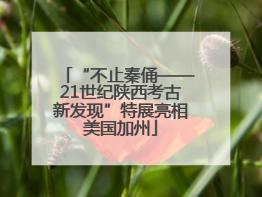 “不止秦俑——21世纪陕西考古新发现”特展亮相美国加州