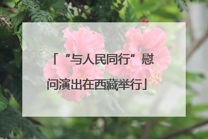 “与人民同行”慰问演出在西藏举行