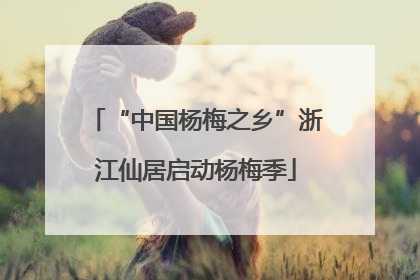 “中国杨梅之乡”浙江仙居启动杨梅季
