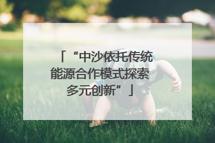 “中沙依托传统能源合作模式探索多元创新”