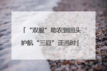“双服”助农到田头 护航“三夏”正当时