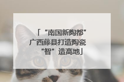 “南国新陶都”广西藤县打造陶瓷“智”造高地