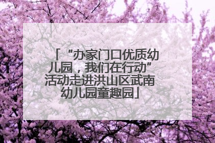 “办家门口优质幼儿园，我们在行动”活动走进洪山区武南幼儿园童趣园