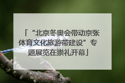 “北京冬奥会带动京张体育文化旅游带建设”专题展览在崇礼开幕