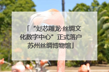“彣芯雕龙·丝绸文化数字中心”正式落户苏州丝绸博物馆
