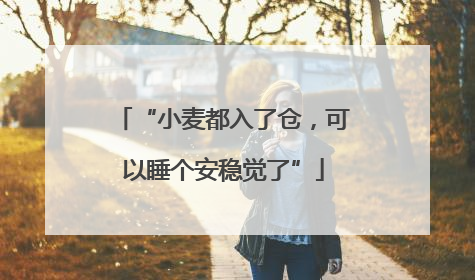 “小麦都入了仓，可以睡个安稳觉了”