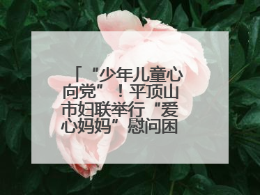 “少年儿童心向党”！平顶山市妇联举行“爱心妈妈”慰问困境儿童活动