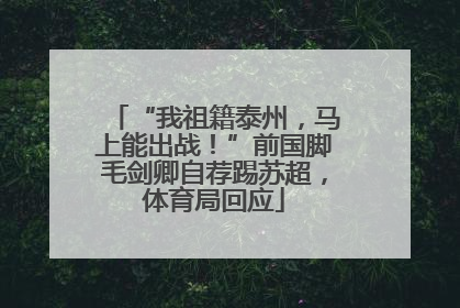 “我祖籍泰州，马上能出战！”前国脚毛剑卿自荐踢苏超，体育局回应