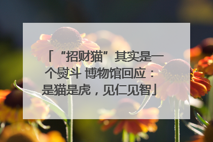“招财猫”其实是一个熨斗 博物馆回应：是猫是虎，见仁见智