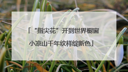 “指尖花”开到世界橱窗 小凉山千年纹样绽新色