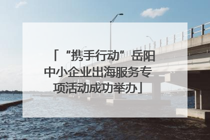 “携手行动”岳阳中小企业出海服务专项活动成功举办