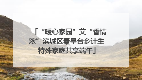 “暖心家园”艾“香情浓”滨城区秦皇台乡计生特殊家庭共享端午