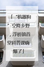 “机器狗”空降乡野，浮桥镇首堂科普课嗨爆了