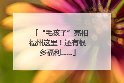 “毛孩子”亮相福州这里！还有很多福利……