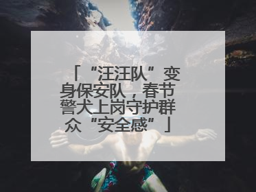 “汪汪队”变身保安队，春节警犬上岗守护群众“安全感”