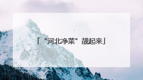 “河北净菜”靓起来