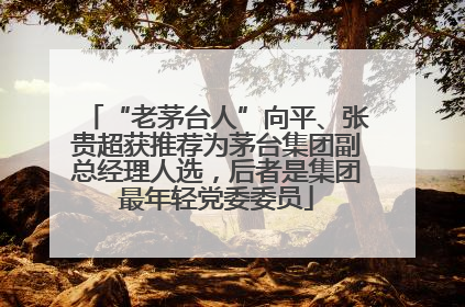 “老茅台人”向平、张贵超获推荐为茅台集团副总经理人选，后者是集团最年轻党委委员
