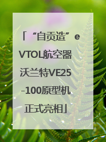 “自贡造”eVTOL航空器沃兰特VE25-100原型机正式亮相