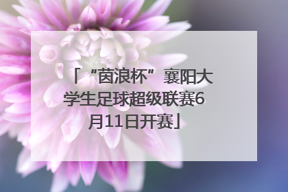 “茵浪杯”襄阳大学生足球超级联赛6月11日开赛