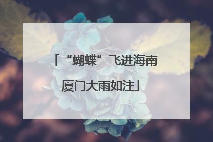 “蝴蝶”飞进海南 厦门大雨如注