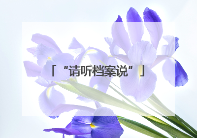“请听档案说”