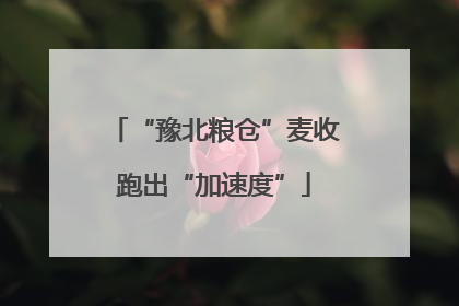 “豫北粮仓”麦收跑出“加速度”