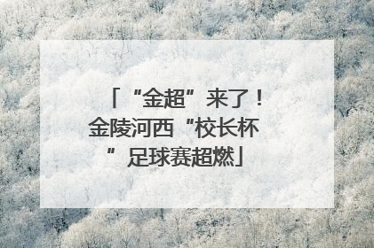 “金超”来了！金陵河西“校长杯”足球赛超燃