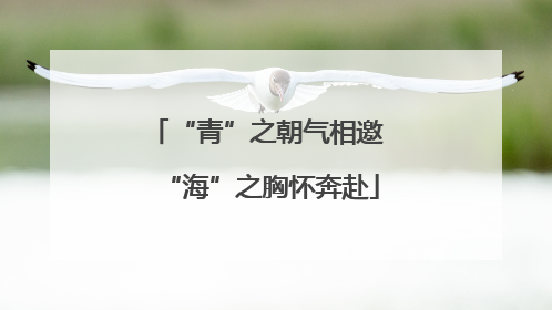 “青”之朝气相邀 “海”之胸怀奔赴