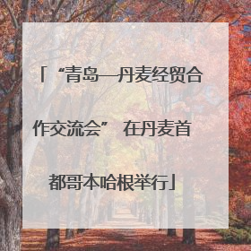 “青岛—丹麦经贸合作交流会” 在丹麦首都哥本哈根举行