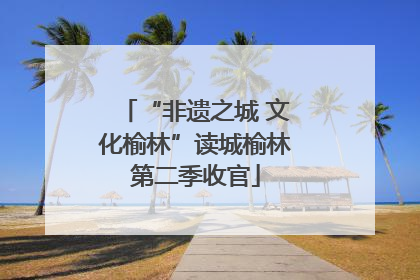 “非遗之城 文化榆林”读城榆林第二季收官