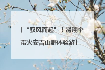 “驭风而起”！滑翔伞带火安吉山野体验游